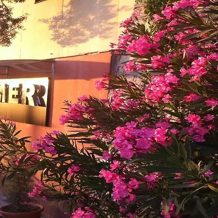 Atamer Doga Hotel