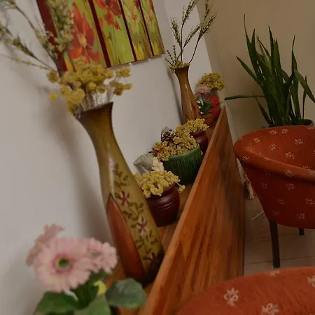 Atamer Doga Hotel 2*
