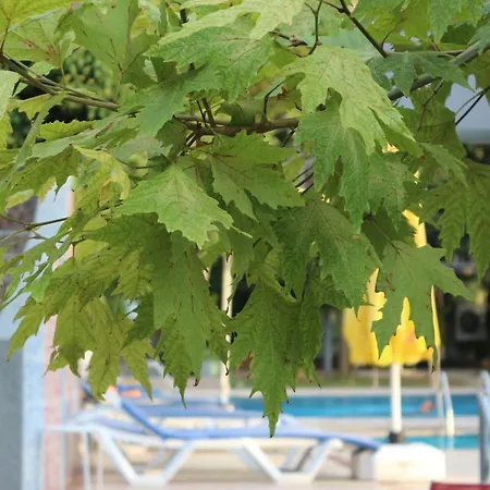 Hotel Atamer Doga